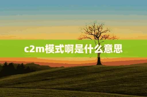 c2m模式啊是什么意思(c2m模式是什么意思啊)